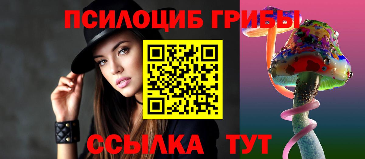 Галлюциногенные грибы Psilocybe  Вход с VPN  Галлюциногенные грибы мицелий  Мурманск 